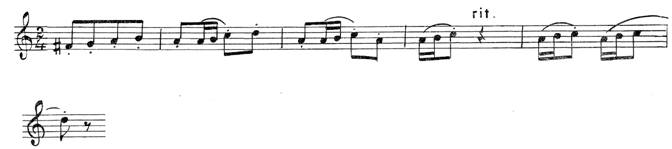 Husa IV